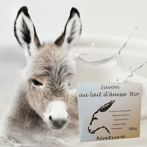 Savon au Lait d’Ânesse Artisanal – Hydratant, Régénérant & Ultra-Doux