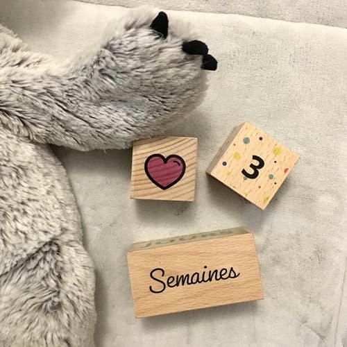 Camille birth cubes box - image 4