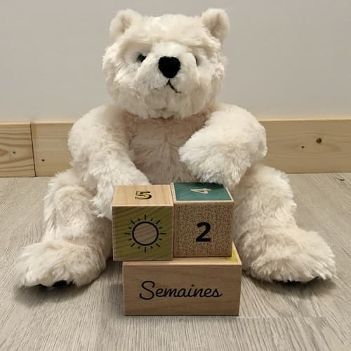 Camille birth cubes box - image 5